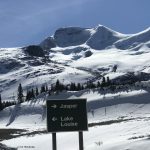 Ausblick vom Icefield Parkway