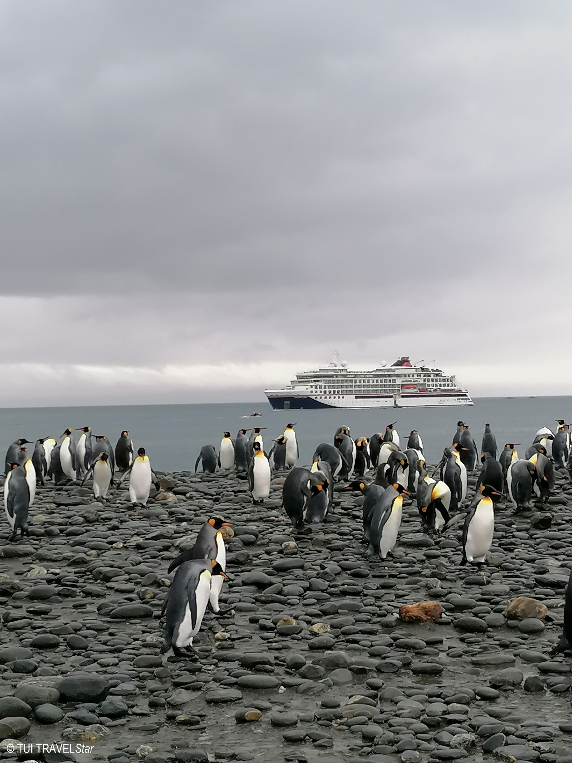 Antarktis Expedition mit Hapag Lloyd Cruises
