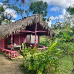 Dominikanische Republik_Pinkes Haus_Reet Dach