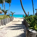 Dominikanische Republik_Weg zum Strand_Palmen am Sandstrand